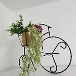Iris Na Uzvisini S Terasom Apartment Rijeka