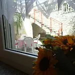 Iris Na Uzvisini S Terasom Διαμέρισμα *